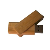 bamboo usb flash drive twister model