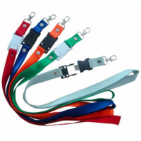 name card lanyard usb memory drive, different unit colours